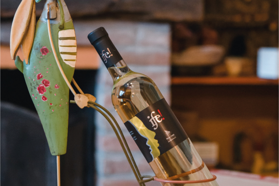 Valtidone-Verde---Immagine1Slider---Vino-IFE