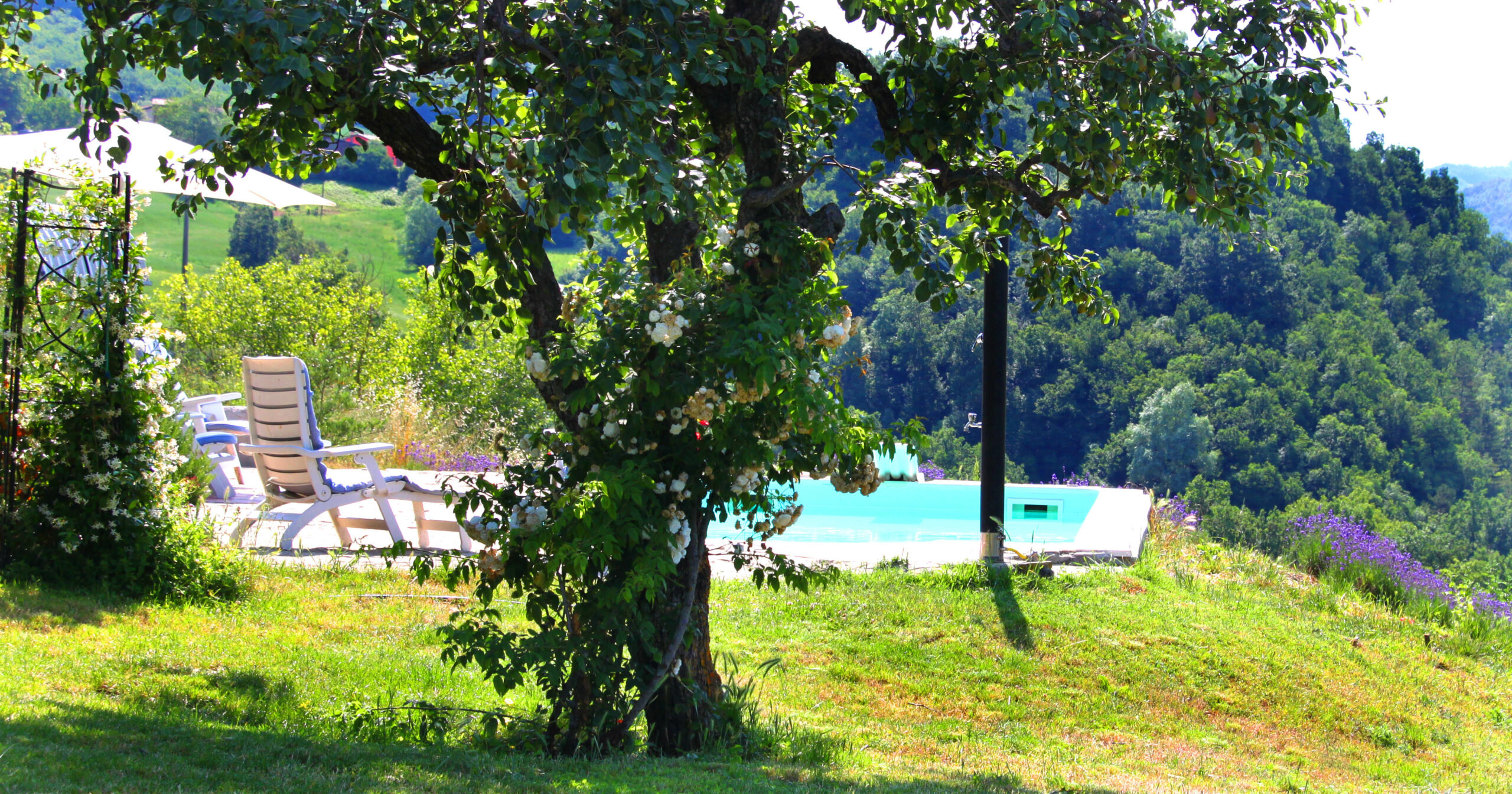 piscina dal pero