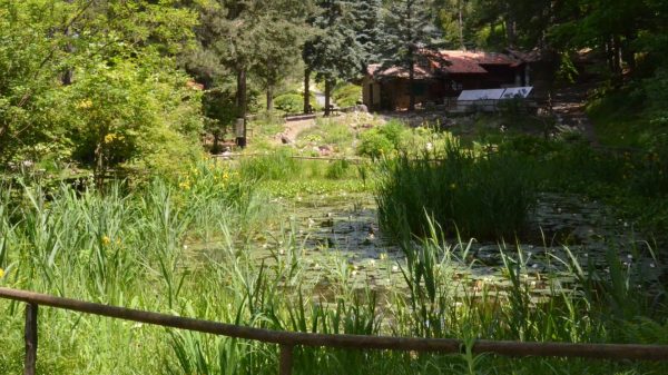 Giardino alpino di Pietra Corva