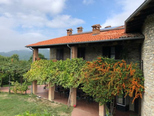 tettoia di vite per ombra piano terra